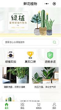 茉莉花盆栽-多肉盆栽-迷你盆栽小程序